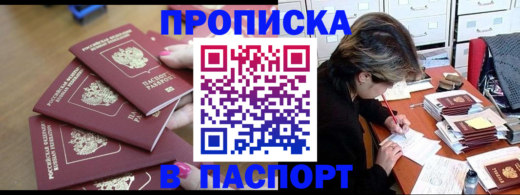 прописка штамп в Зверево